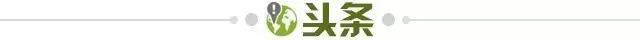 d428377a-9c2f-4c26-a35e-fa30cd1c25e5.jpg@!img01